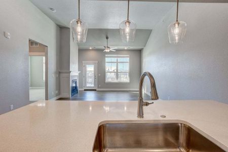 New construction Condo/Apt house 827 Schlagel Street, Fort Collins, CO 80524 - photo 30 30