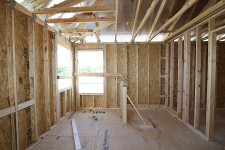 New construction Single-Family house 2881 Misty Marble Drive, Zephyrhills, FL 33540 Castellana- photo 32 32