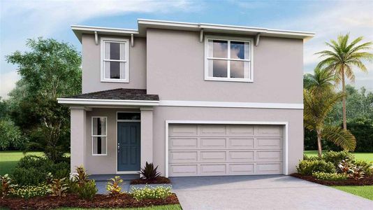 New construction Single-Family house 35656 Sunflower Hill Drive, Zephyrhills, FL 33541 Darwin- photo 0
