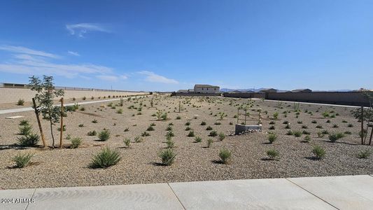 New construction Single-Family house 32137 N Tiny Dancer Drive, San Tan Valley, AZ 85140 - photo 8 8