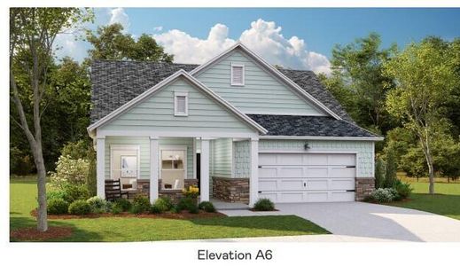 New construction Single-Family house 1387 Locals Street, Summerville, SC 29485 Sparrow- photo 0