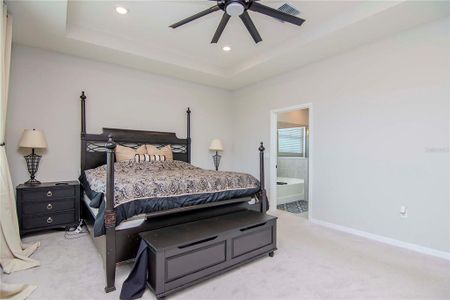 New construction Single-Family house 12428 Shining Willow Street, Riverview, FL 33579 - photo 21