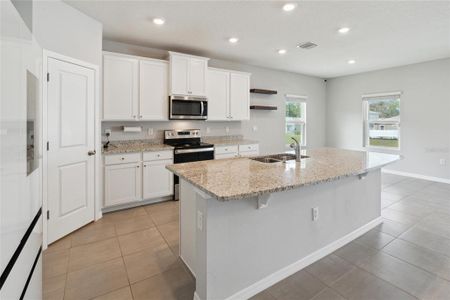 New construction Single-Family house 17352 Nw 172Nd Avenue, Alachua, FL 32615 - photo 9 9