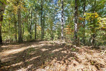 New construction Single-Family house Lot 5H Winterberry, Gainesville, GA 30501 - photo 67 67