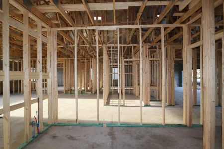 New construction Single-Family house 2941 Marine Grass Drive, Wimauma, FL 33598 Barcello- photo 14 14