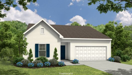 New construction Single-Family house Newton, 6529 Winter Spring Drive, Wake Forest, NC 27587 - photo