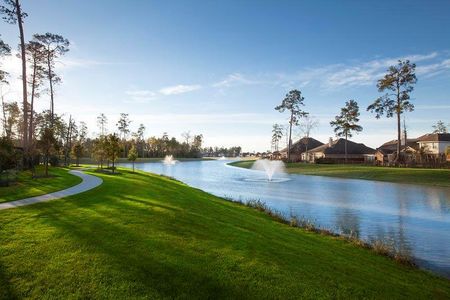 The Meadows at Imperial Oaks by David Weekley Homes in Conroe - photo 6 6