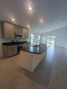 New construction Single-Family house 1064 Bergamot Drive, Bartow, FL 33830 - photo 4 4