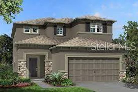 New construction Single-Family house 2915 Misty Marble Drive, Zephyrhills, FL 33540 Miralles- photo 0