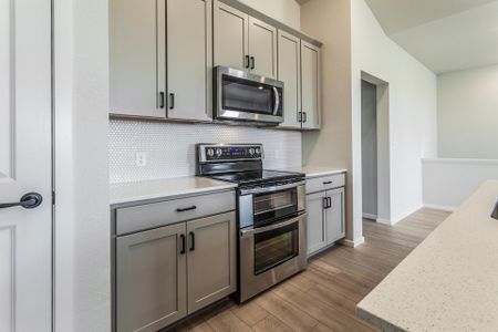 New construction Condo/Apt house 2908 Conquest Street, Fort Collins, CO 80524 - photo 16 16