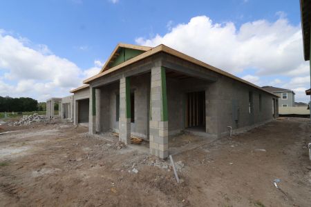New construction Single-Family house 31843 Sapna Chime Drive, Wesley Chapel, FL 33545 Picasso- photo