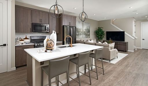 Urban Collection at Copperleaf by Richmond American Homes in Aurora - photo 23 23