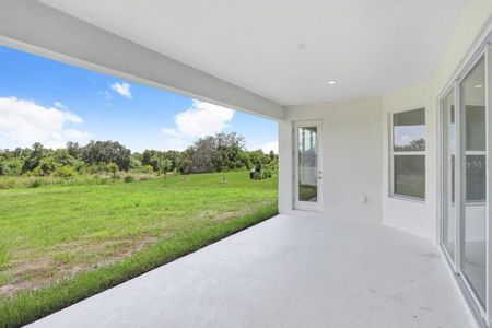 New construction Single-Family house 5112 Lake Toscana Drive, Wimauma, FL 33598 Burano- photo 11 11