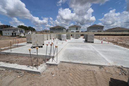 New construction Single-Family house 31793 Sapna Chime Drive, Wesley Chapel, FL 33545 Picasso- photo 2 2