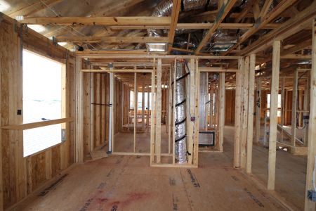 New construction Single-Family house 32556 Sapna Chime Drive, Wesley Chapel, FL 33545 Dali- photo 26 26