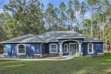 New construction Single-Family house 18441 Sw 75Th Place, Dunnellon, FL 34432 - photo 0