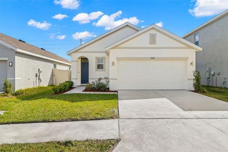 New construction Single-Family house 33616 Barberry Leaf Way, Wesley Chapel, FL 33543 - photo 1 1