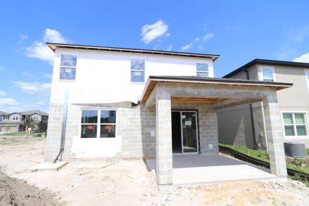 New construction Single-Family house 2463 Sunny Pebble Loop, Zephyrhills, FL 33540 Castellana- photo 56 56