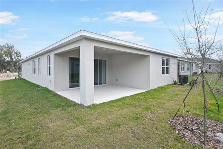 New construction Single-Family house 5326 Meadow Song Drive, Okahumpka, FL 34762 - photo 14 14