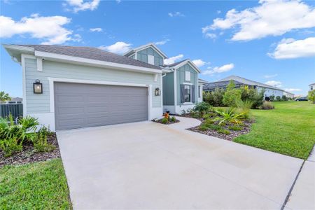 New construction Single-Family house 14511 Paddlers Xing, Parrish, FL 34219 - photo
