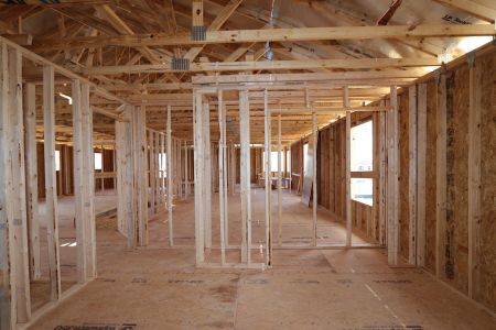 New construction Single-Family house 32556 Sapna Chime Drive, Wesley Chapel, FL 33545 Dali- photo 36 36