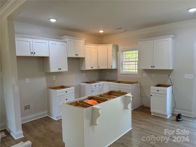 Kitchen with dovetailed, soft close cabinets and Quartz countertops