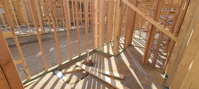 New construction Single-Family house 110 Pinyon Pine Pass, Hutto, TX 78634 Cartwright Homeplan- photo 9 9