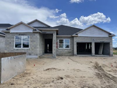 New construction Single-Family house 16892 Muskgrass Drive, Winter Garden, FL 34787 Abbington - Manor Series- photo 5 5