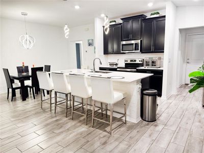 New construction Single-Family house 5307 Travertine Street, Mount Dora, FL 32757 - photo 3 3