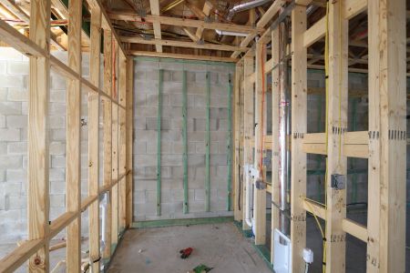 New construction Single-Family house 5254 Currant Street, Lakeland, FL 33811 Marina- photo 33 33