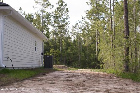 New construction Single-Family house 4350 Theresa Street, Hastings, FL 32145 - photo 57 57