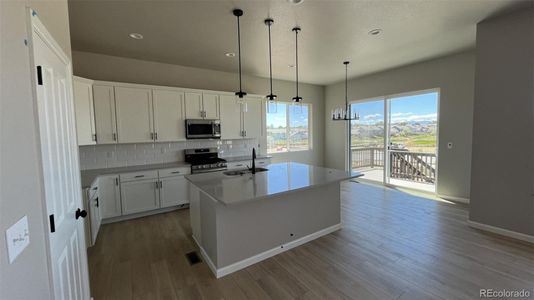 New construction Single-Family house 16867 Mckay Drive, Mead, CO 80542 - photo 4 4