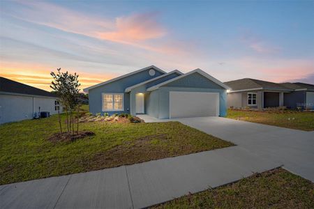New construction Single-Family house 11421 Sw 175Th Court, Dunnellon, FL 34432 - photo 17 17