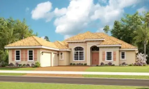 Canopy Creek by Kolter Homes in Palm City - photo 14