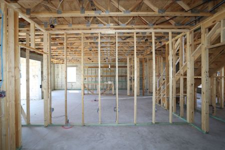 New construction Single-Family house 10724 New Morning Drive, Tampa, FL 33647 Coronado II- photo 16 16