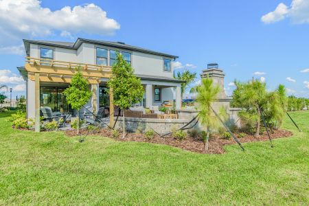 New construction Single-Family house 10805 Rolling Moss Road, Tampa, FL 33647 Sonoma II- photo 6 6