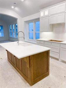 New construction Single-Family house 1700 Victoria Place, Celina, TX 75009 Greyton Plan- photo 32 32