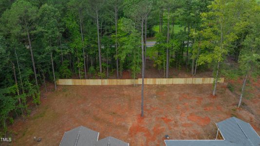 New construction Single-Family house 162 Shawnee Drive, Louisburg, NC 27549 - photo 45 45