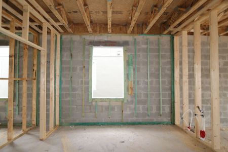 New construction Single-Family house 2852 Misty Marble Drive, Zephyrhills, FL 33540 Castellana- photo 12 12