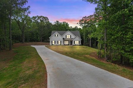 New construction Single-Family house 1820 Georgia 16, Whitesburg, GA 30185 - photo 4 4