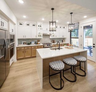 Alsatian Oaks by Highland Homes in Castroville - photo 15 15