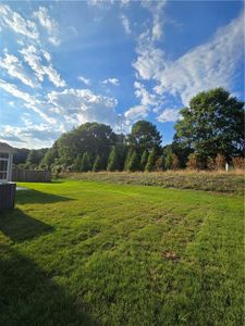 New construction Single-Family house 3093 Lowell Road, Bethlehem, GA 30620 Mitchell- photo 8 8