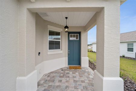 New construction Single-Family house 9721 Sw 102Nd Terrace, Ocala, FL 34481 - photo 6 6