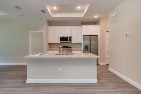 New construction Single-Family house 5394 Southeast 91st Street, Ocala, FL 34480 - photo 16 16