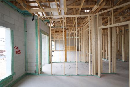 New construction Single-Family house 5082 Bromeliad Avenue, Wimauma, FL 33598 Barcello- photo 8 8