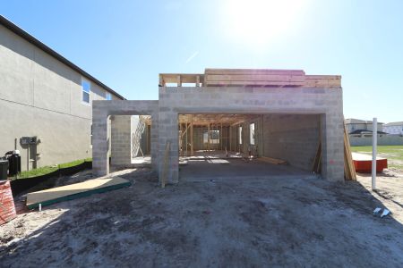 New construction Single-Family house 2463 Sunny Pebble Loop, Zephyrhills, FL 33540 Castellana- photo 7 7