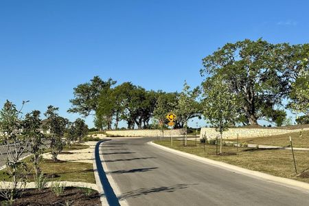New construction Single-Family house 231 Rieber Road, Kyle, TX 78640 Willow- photo 20 20