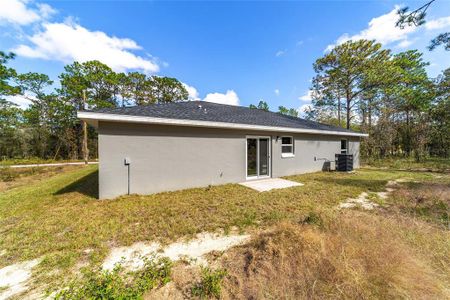 New construction Single-Family house 24254 Nw Water Oak Avenue, Dunnellon, FL 34431 - photo 6 6
