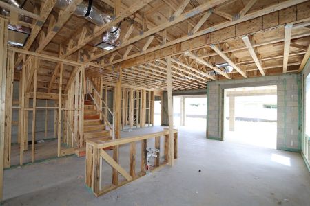 New construction Single-Family house 31823 Sapna Chime Drive, Wesley Chapel, FL 33545 Mira Lago- photo 38 38