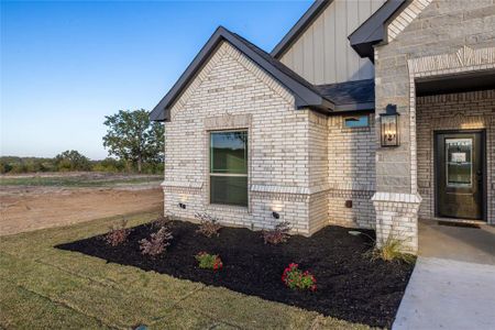 New construction Single-Family house 7000 Ranch View Place, Springtown, TX 76082 - photo 4 4